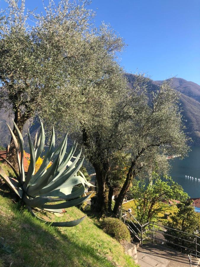 Lake Feelings Lugano Esterno foto